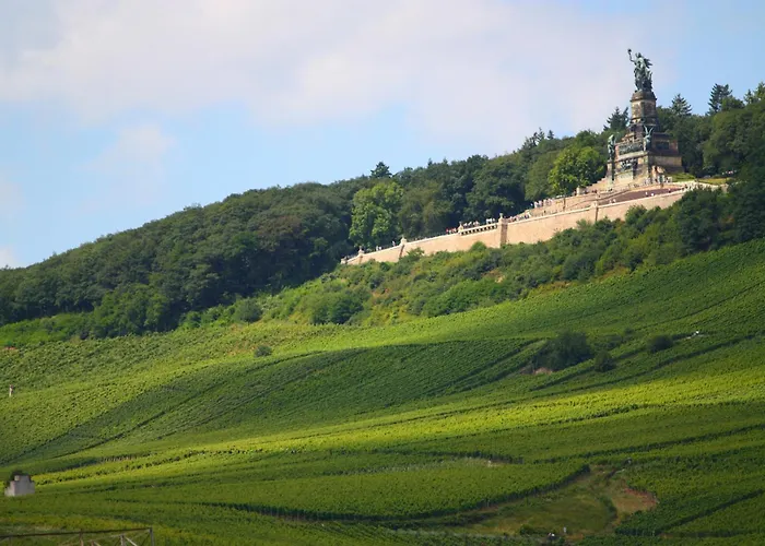 Hotel Krone Ruedesheim