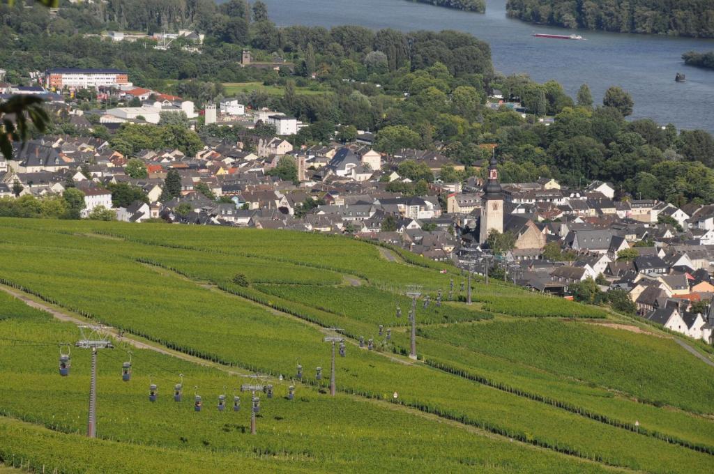 Hotel Krone Rudesheim 2*