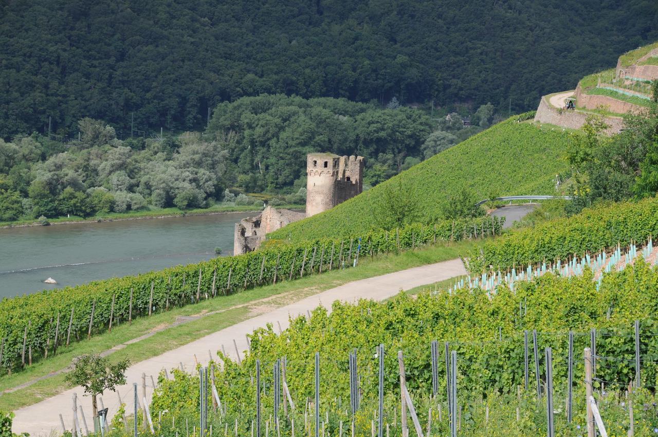 Krone Rudesheim Hotel